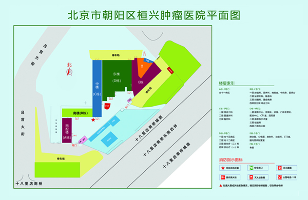 同事草逼网站免费看北京市朝阳区桓兴肿瘤医院平面图